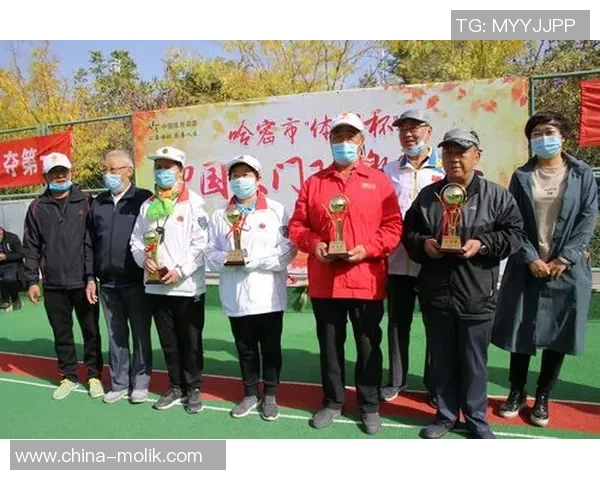 甘泉县2025年“体彩杯”门球邀请赛顺畅举行